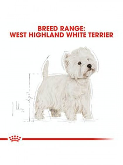 BHN WESTIE 1,5K_web2